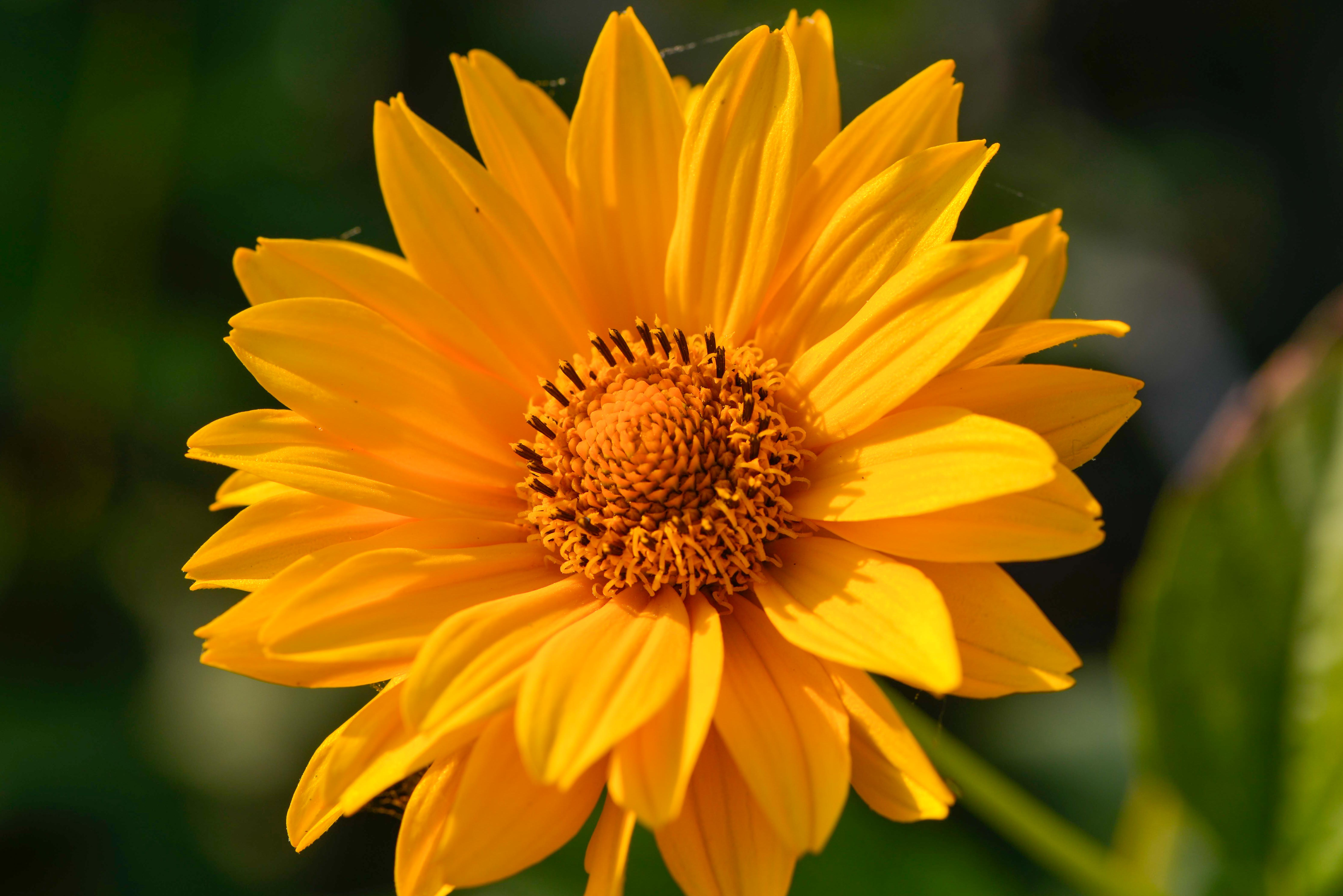 Tanzgottesdienst - feiern im Kreis